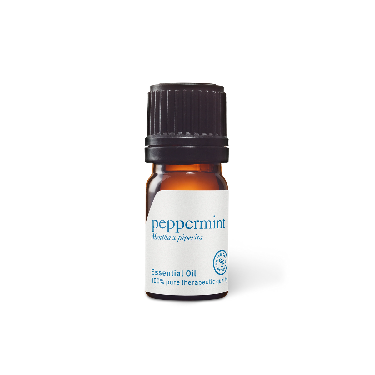 Peppermint Essential Oil