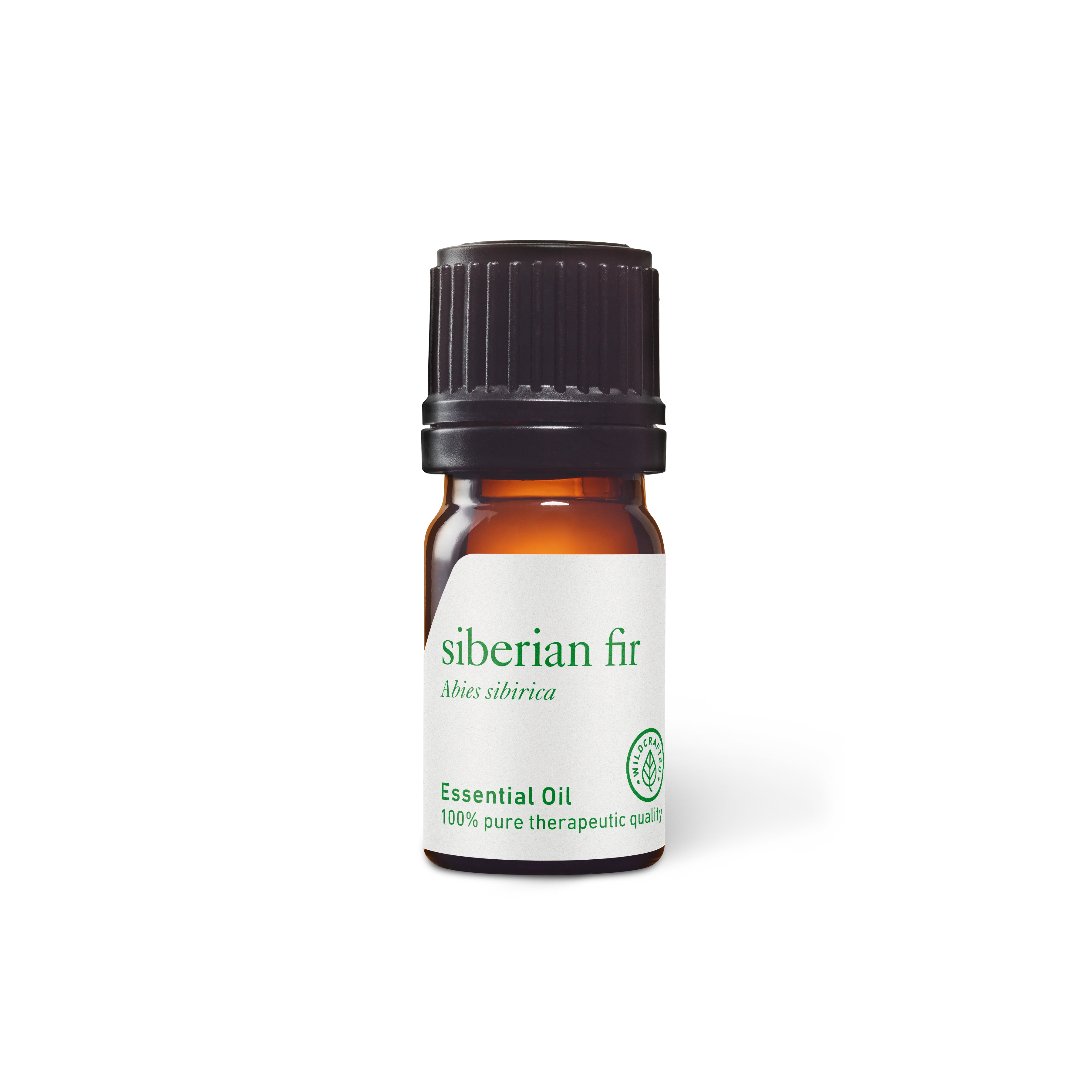 Siberian Fir Essential Oil
